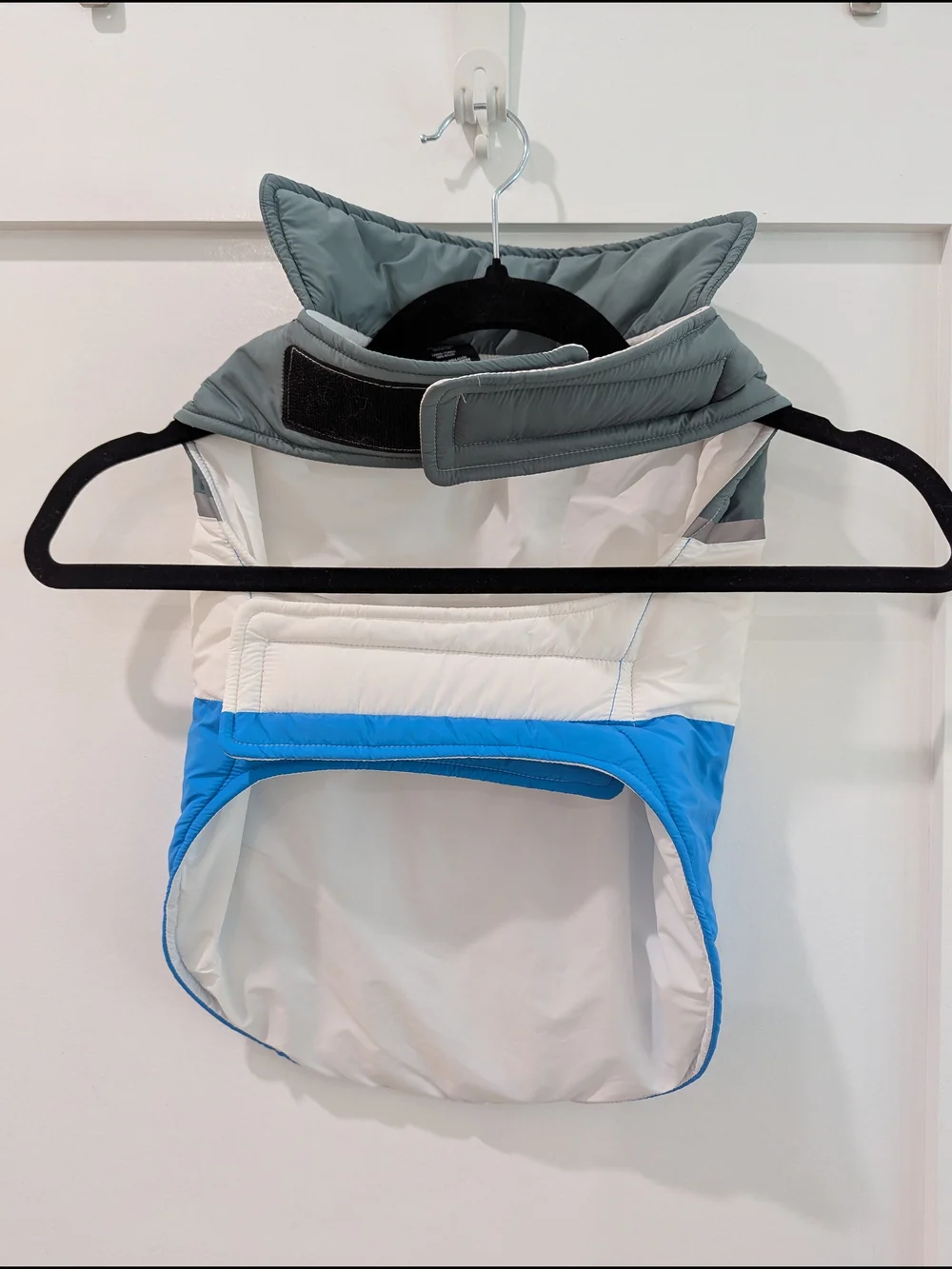 Dog Colorblock Windbreaker in Blue, White, Gray, and Teal 🐾